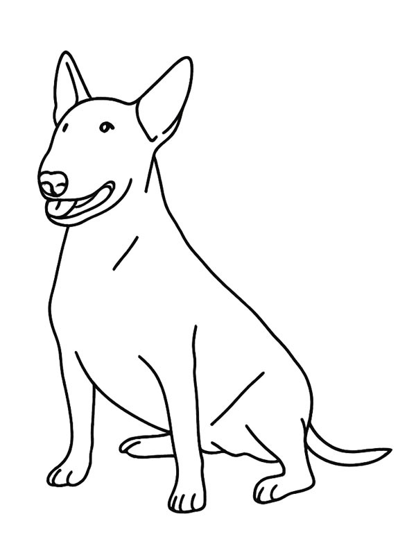 Bull Terrier Desenho para Colorir Bull Terrier Desenho para Colorir