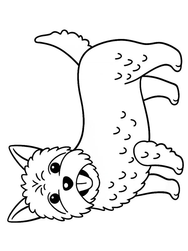 Cairn Terrier Desenho para Colorir Cairn Terrier Desenho para Colorir