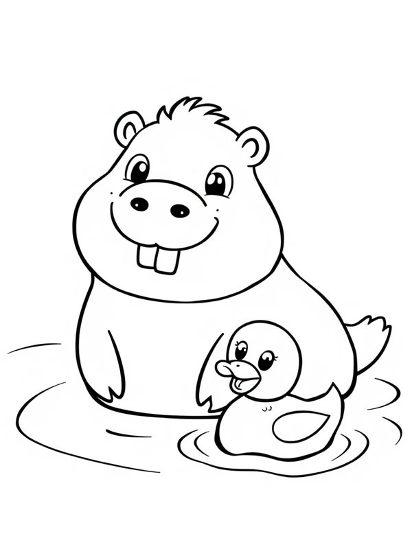 Capivara nada com pato Desenho para Colorir Capivara nada com pato Desenho para Colorir