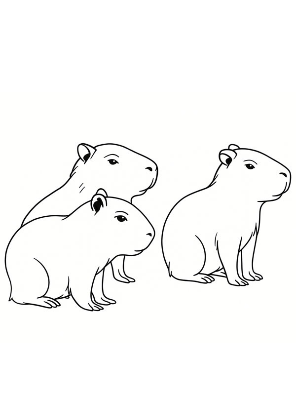 Filhotes de capivara Desenho para Colorir Filhotes de capivara Desenho para Colorir
