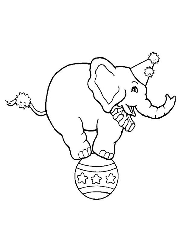 Elefante de circo sobre uma bola Desenho para Colorir Elefante de circo sobre uma bola Desenho para Colorir