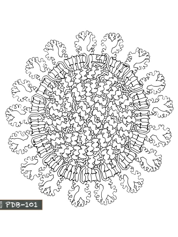 Mandala do coronavírus Desenho para Colorir Mandala do coronavírus Desenho para Colorir