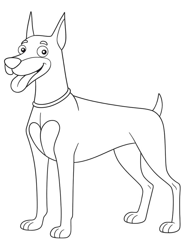 Dobermann Desenho para Colorir Dobermann Desenho para Colorir