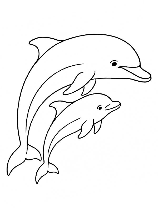 Golfinho com filhote Desenho para Colorir Golfinho com filhote Desenho para Colorir