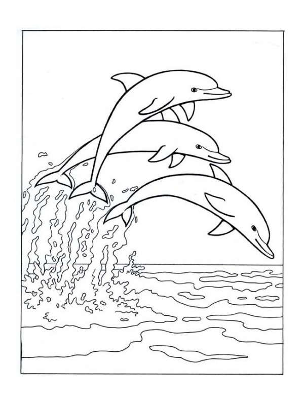 Golfinhos pulando no mar Desenho para Colorir Golfinhos pulando no mar Desenho para Colorir