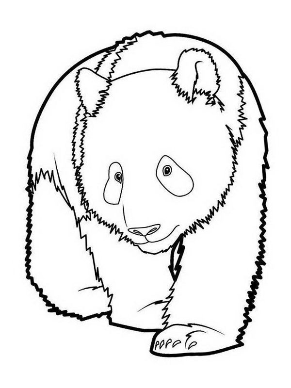 Panda triste Desenho para Colorir Panda triste Desenho para Colorir