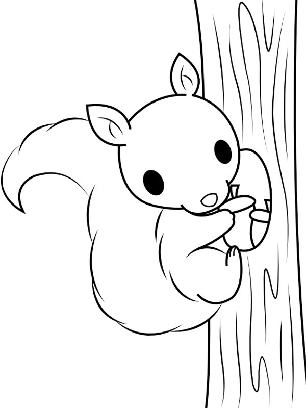 Esquilo subindo na árvore Desenho para Colorir Esquilo subindo na árvore Desenho para Colorir