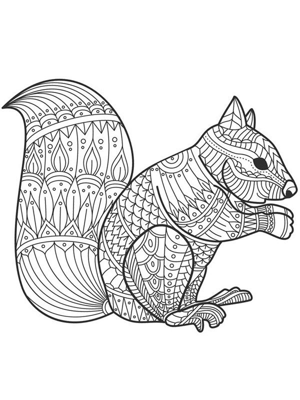 Esquilo para adultos Desenho para Colorir Esquilo para adultos Desenho para Colorir