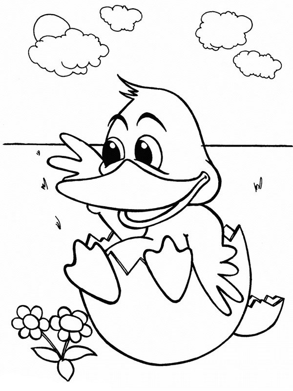 Pato no ovo Desenho para Colorir Pato no ovo Desenho para Colorir
