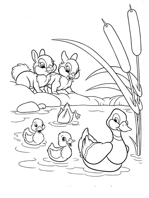 Patos e coelhos Desenho para Colorir Patos e coelhos Desenho para Colorir