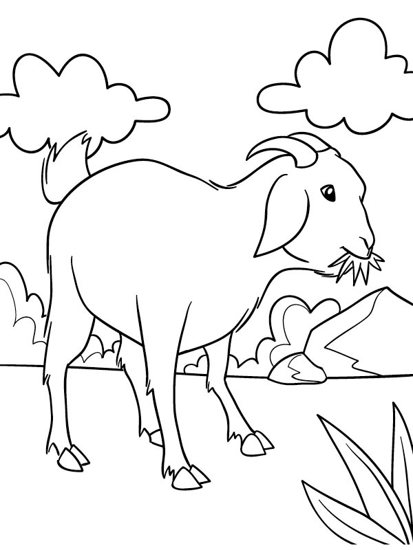 Cabra comendo grama Desenho para Colorir Cabra comendo grama Desenho para Colorir