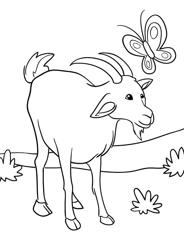 Cabra e borboleta Desenho para Colorir Cabra e borboleta Desenho para Colorir