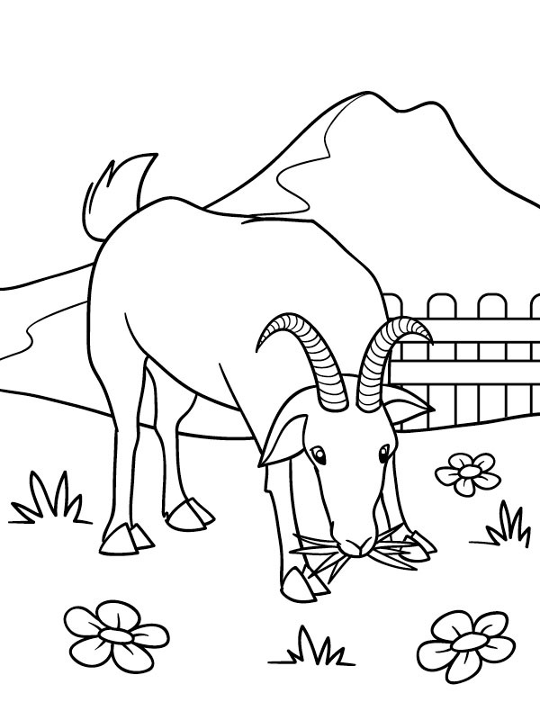 Cabra pastando Desenho para Colorir Cabra pastando Desenho para Colorir