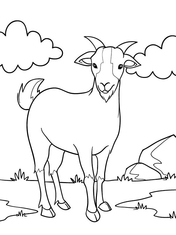 Cabra olhando Desenho para Colorir Cabra olhando Desenho para Colorir