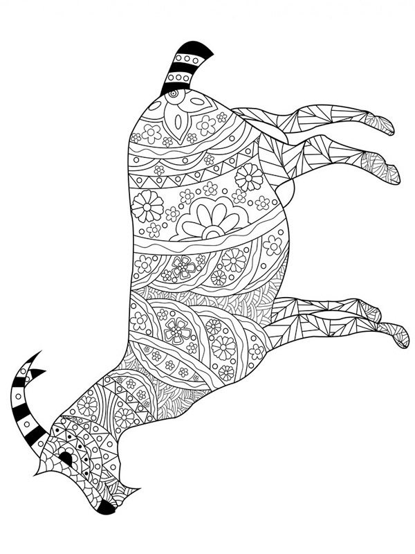 Cabra para adultos Desenho para Colorir Cabra para adultos Desenho para Colorir