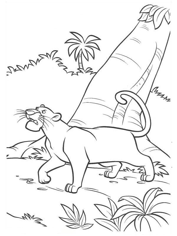 Bagheera perigosa Desenho para Colorir Bagheera perigosa Desenho para Colorir