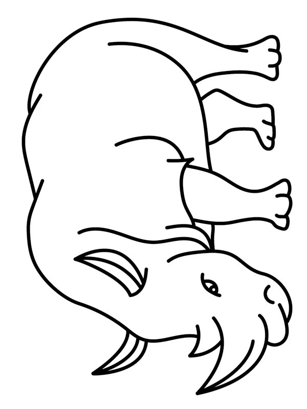 Rinoceronte perigoso Desenho para Colorir Rinoceronte perigoso Desenho para Colorir