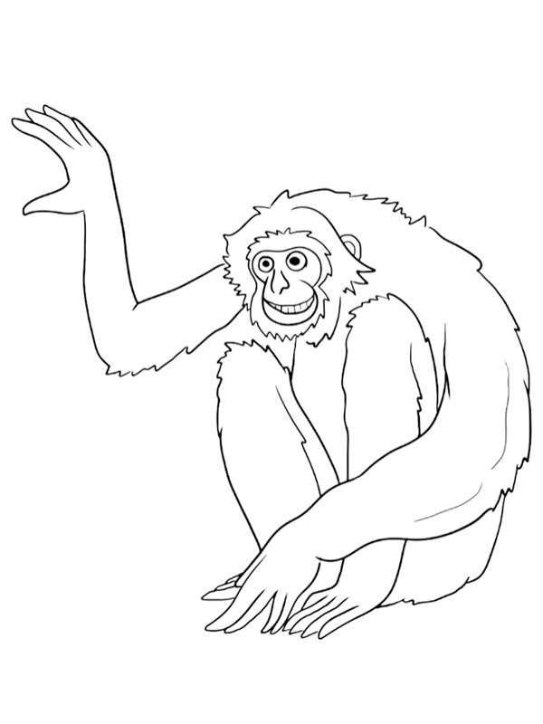Gibão Desenho para Colorir Gibão Desenho para Colorir