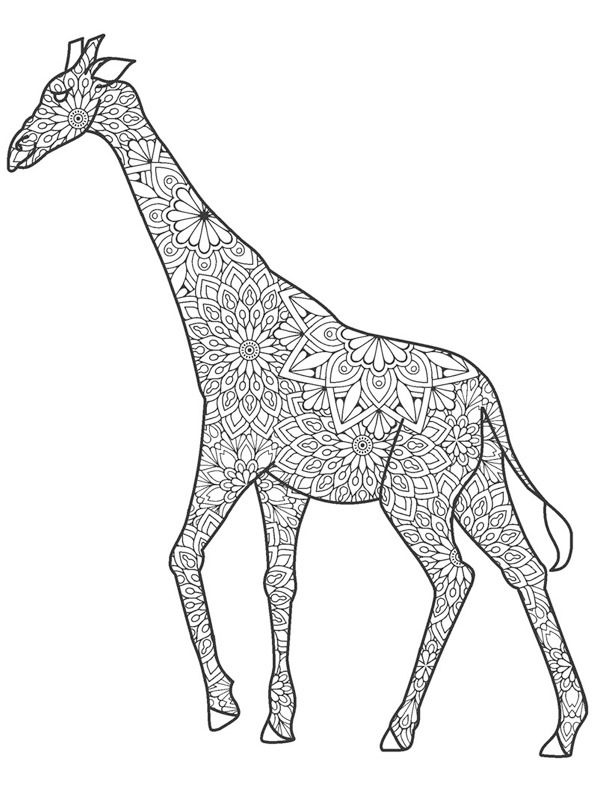 Girafa para adultos Desenho para Colorir Girafa para adultos Desenho para Colorir