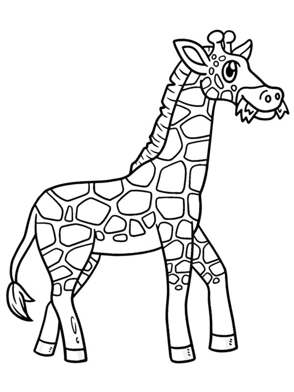 Girafa comendo grama Desenho para Colorir Girafa comendo grama Desenho para Colorir