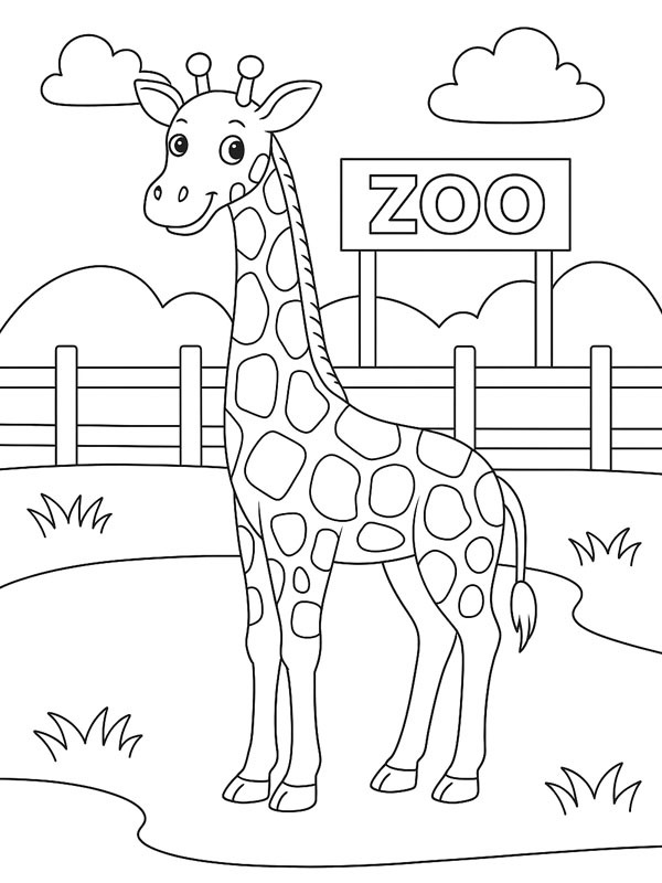 Girafa no zoológico Desenho para Colorir Girafa no zoológico Desenho para Colorir