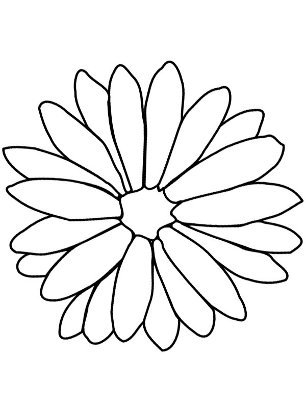 Calêndula Desenho para Colorir Calêndula Desenho para Colorir