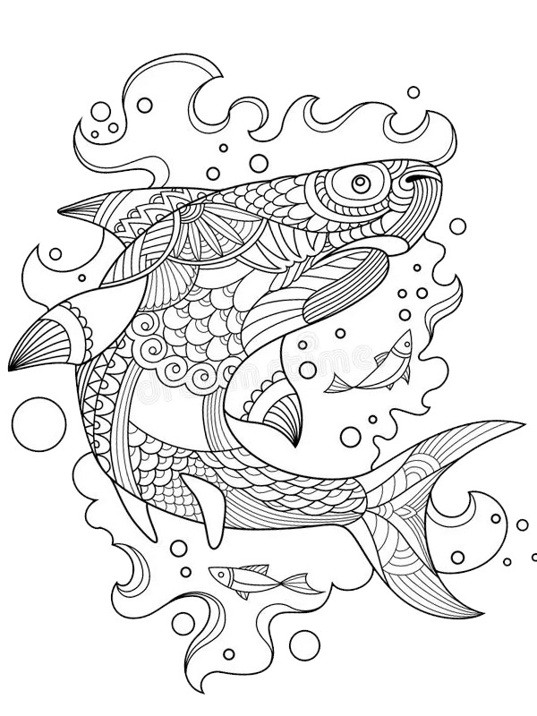 Tubarão para adultos Desenho para Colorir Tubarão para adultos Desenho para Colorir