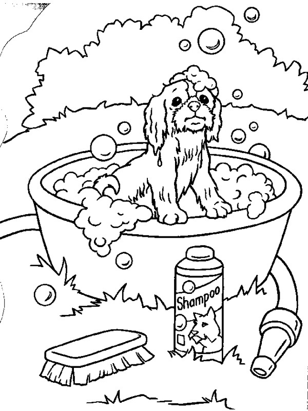 Cachorro tomando banho Desenho para Colorir Cachorro tomando banho Desenho para Colorir