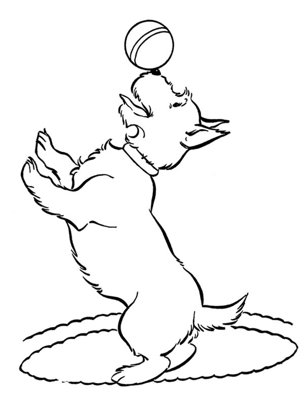 Cachorro com bola Desenho para Colorir Cachorro com bola Desenho para Colorir