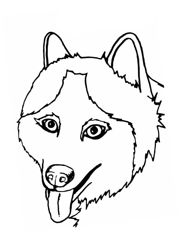 Cabe&ccedil;a de husky Desenho para Colorir