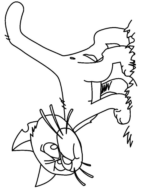 Gato Cruel Desenho para Colorir Gato Cruel Desenho para Colorir