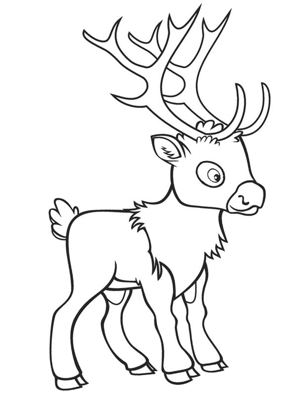 Rena de Natal Desenho para Colorir Rena de Natal Desenho para Colorir