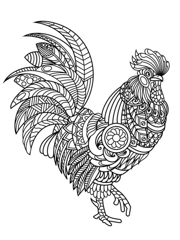 Frango para adultos Desenho para Colorir Frango para adultos Desenho para Colorir