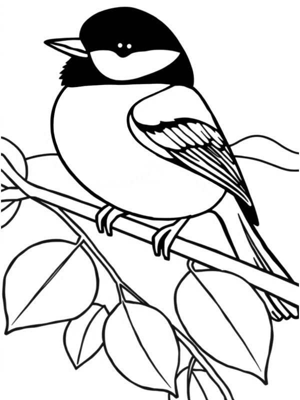 Chapim-real Desenho para Colorir Chapim-real Desenho para Colorir
