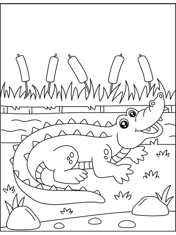 Crocodilo com a boca aberta Desenho para Colorir Crocodilo com a boca aberta Desenho para Colorir