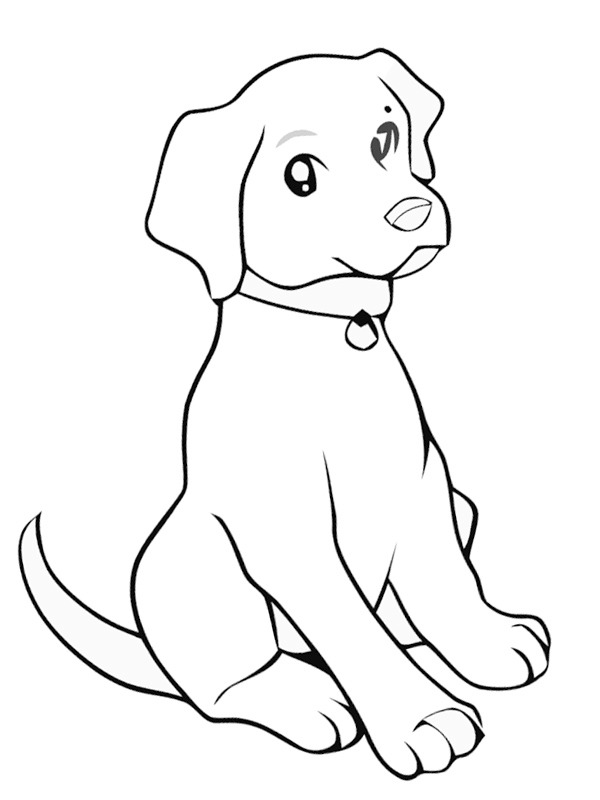 Filhote de Labrador Desenho para Colorir Filhote de Labrador Desenho para Colorir