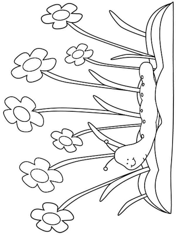 Lagarta da primavera Desenho para Colorir Lagarta da primavera Desenho para Colorir