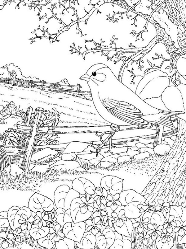 Primavera para adultos Desenho para Colorir Primavera para adultos Desenho para Colorir