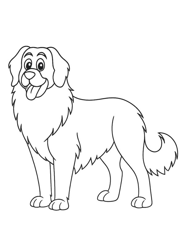 Leonberger Desenho para Colorir Leonberger Desenho para Colorir