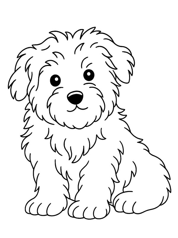 Cão maltês Desenho para Colorir Cão maltês Desenho para Colorir