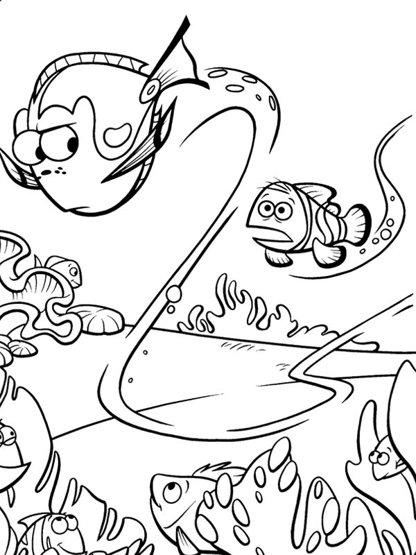 Marlin encontra a Dory Desenho para Colorir Marlin encontra a Dory Desenho para Colorir