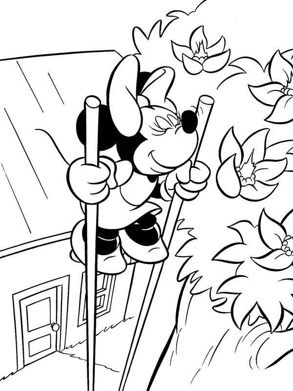 Minnie Mouse cheirando as flores Desenho para Colorir Minnie Mouse cheirando as flores Desenho para Colorir
