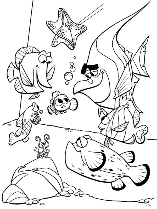 Nemo conhece os outros peixes do aquário Desenho para Colorir Nemo conhece os outros peixes do aquário Desenho para Colorir