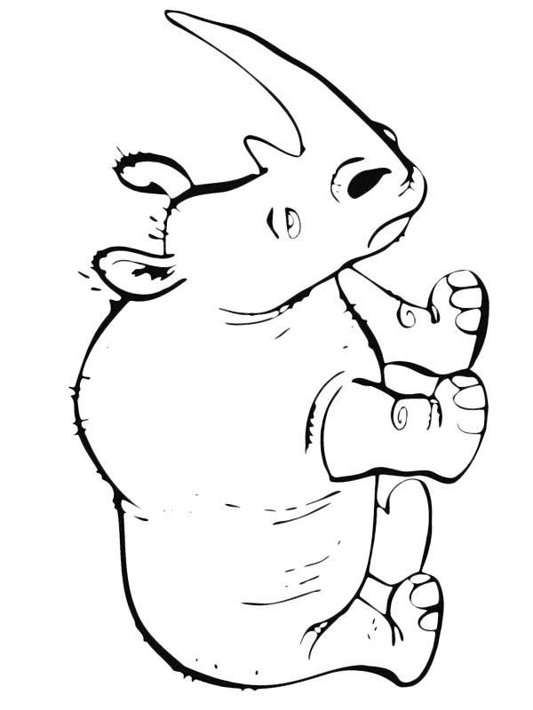 Rinoceronte Desenho para Colorir Rinoceronte Desenho para Colorir
