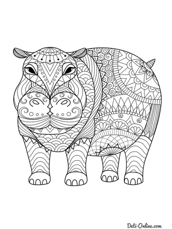 Hipopótamo para adultos Desenho para Colorir Hipopótamo para adultos Desenho para Colorir