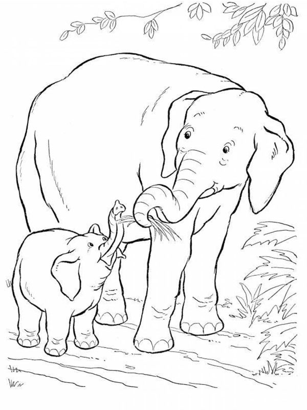 Elefante e filhote Desenho para Colorir Elefante e filhote Desenho para Colorir