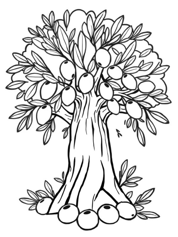 Pé de oliveira Desenho para Colorir Pé de oliveira Desenho para Colorir
