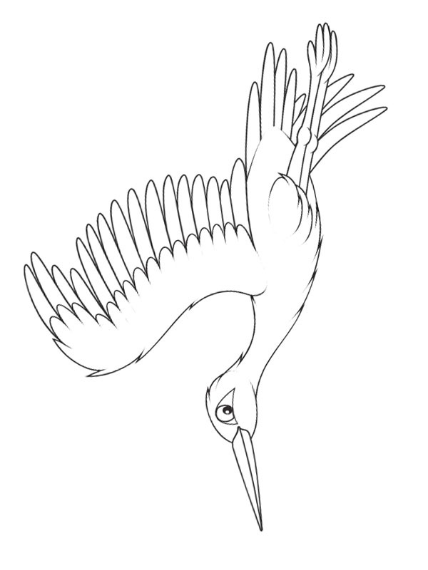 Cegonha-branca Desenho para Colorir Cegonha-branca Desenho para Colorir
