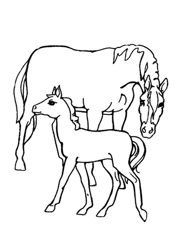 Égua com potro Desenho para Colorir Égua com potro Desenho para Colorir