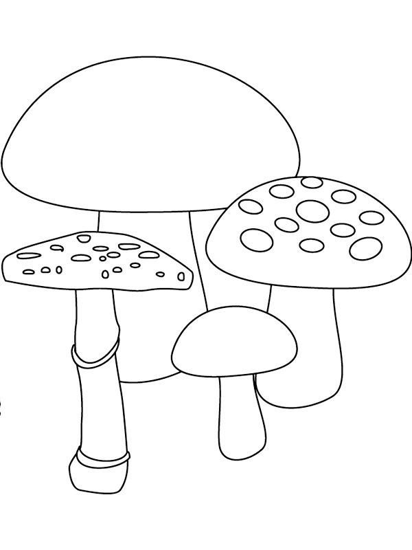 4 cogumelos Desenho para Colorir 4 cogumelos Desenho para Colorir